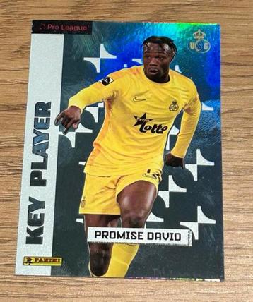 Panini pro league 2024/2025 Promise David Kampioenmaker beschikbaar voor biedingen