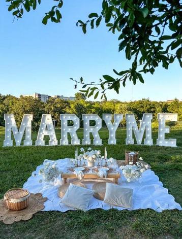 MARRY ME” lichtletters — Perfect voor huwelijksaanzoek,  beschikbaar voor biedingen
