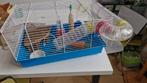 Hamsterhok, Dieren en Toebehoren, Knaagdieren en Konijnen | Hokken en Kooien, Gebruikt, Minder dan 75 cm, Ophalen, Minder dan 60 cm