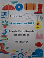 Brocante 14/9/25 Rosseignies 7h à 16h 1ére voir descriptif, Ophalen of Verzenden