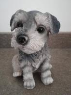 Decoratief miniatuur Schnauzer puppy standbeeldje, 16x5cm, Dieren en Toebehoren, Nieuw, Ophalen