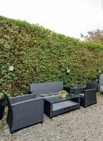 Tuinmeubilair, Ophalen, 4 zitplaatsen, Gebruikt, Wicker