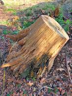 Brandhout, Moins de 3 m³, Enlèvement, Chêne, Troncs d'arbres