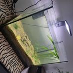 A vendre aquarium 45l, Enlèvement, Comme neuf, Aquarium vide