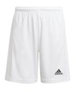 Adidas short wit maat 152 NIEUW, Ophalen, Adidas, Jongen of Meisje, Nieuw