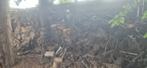 Brandhout GRATIS!!!, Tuin en Terras, Brandhout, 6 m³ of meer, Ophalen