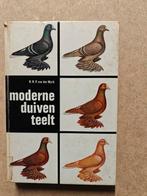 Boekje moderne duiventeelt, Animaux & Accessoires, Oiseaux | Pigeons