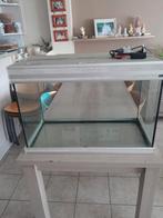 Aquarium, Dieren en Toebehoren, Vissen | Aquaria en Toebehoren, Ophalen, Zo goed als nieuw