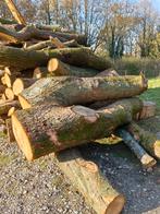 Brandhout stammen eik, 40-45 stère, Ophalen of Verzenden, Stammen