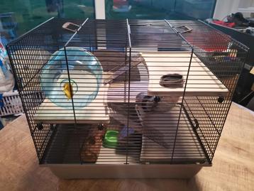 Cage à hamster avec accessoires