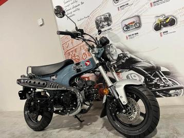 Honda Dax 125 (bj 2024) beschikbaar voor biedingen