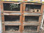 Houten kot, Dieren en Toebehoren, Ophalen, Gebruikt, Volière