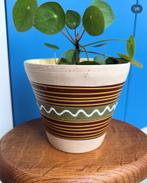 Vintage bloempot, Ophalen
