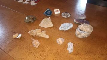 Collectie mineralen en fossielen!