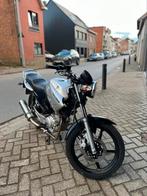Ybr 125, Motos, Motos | Yamaha, Particulier