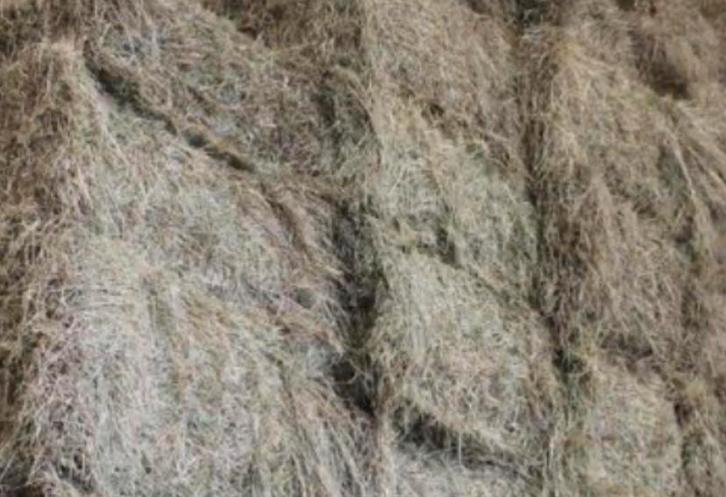 Kleine pakjes hooi te koop, Dieren en Toebehoren, Dierenvoeding, Vee, Ophalen