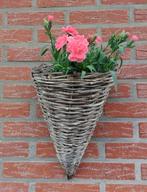 3 rieten  planten wandhangers €10,00, Ophalen of Verzenden