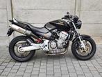 Honda Cb 900  *akrapovic*, Naked bike, 4 cylindres, Plus de 35 kW, 919 cm³