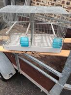 Vogels, Dieren en Toebehoren, Ophalen of Verzenden, Zo goed als nieuw, Metaal, Vogelkooi