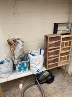 vogel gerief, Meerdere dieren, Kleurkanarie