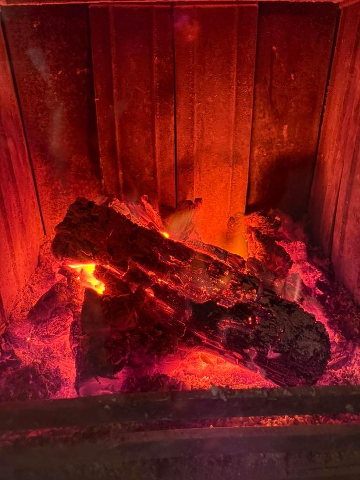 Tijdelijke promo   gemengd brandhout. Doe nu je voordeel!, Maison & Meubles, Cheminées, Comme neuf, Enlèvement