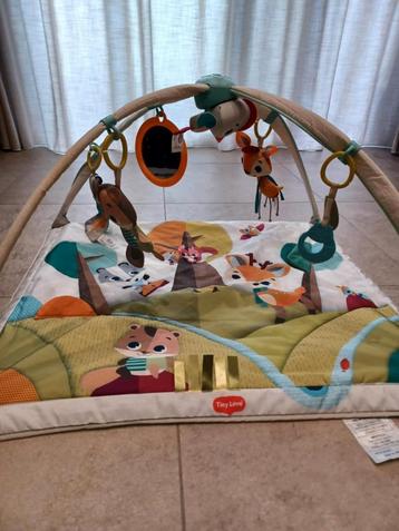 Tiny Love Gymini Deluxe speelmat beschikbaar voor biedingen