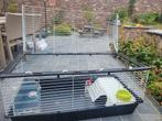 Konijnenhok Ferplast, Dieren en Toebehoren, Knaagdieren en Konijnen | Hokken en Kooien, Ophalen, Gebruikt, Kooi, Cavia