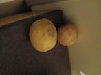 Aardappel snel verkoop, Ophalen