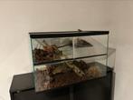 Terrarium, Dieren en Toebehoren, Ophalen, Zo goed als nieuw, Terrarium of Paludarium