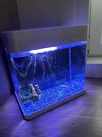 Aquarium, Enlèvement, Comme neuf