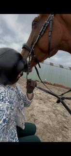opzoek naar weide, Dieren en Toebehoren, Ophalen, Zo goed als nieuw