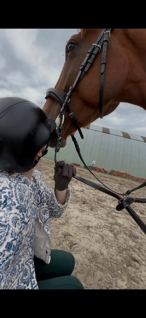 opzoek naar weide, Dieren en Toebehoren, Paarden en Pony's | Verzorgingsproducten, Zo goed als nieuw, Ophalen