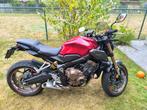 cb650r, Particulier