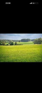 Weide te huur gevraagd of grasland dringend aub aub