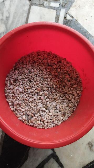 Aquarium  beschikbaar voor biedingen