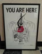 Affiche d'anatomie You Are Here encadrée, 53 x 73 cm, Comme neuf, Enlèvement ou Envoi