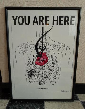 Affiche d'anatomie You Are Here encadrée, 53 x 73 cm