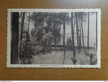 Postkaart Neerpelt, Kanaalomgeving beschikbaar voor biedingen