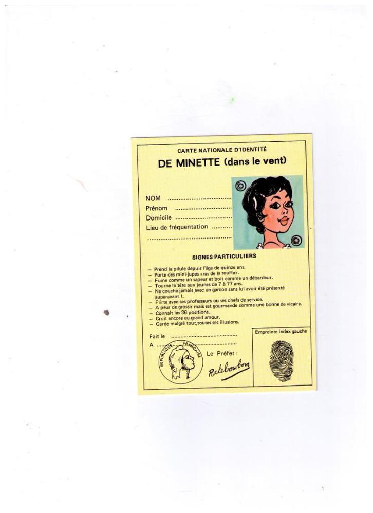 carte postale humoristique - CI de minette dans le vent, Collections, Cartes postales | Thème, Non affranchie, 1960 à 1980, Autres thèmes