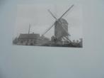 windmolen-zittaartse molen-te veerle, Verzamelen, Ophalen of Verzenden, 1940 tot 1960, Ongelopen, Gebouw