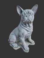 tuinbeeld franse bulldog zit 44 cm, Ophalen, Nieuw, Beton, Dierenbeeld