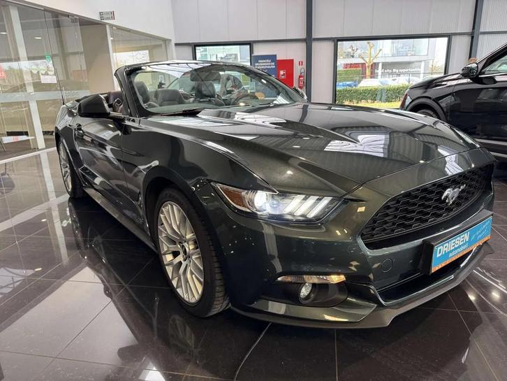 Ford Mustang Mustang cabrio 2.3 /extra set 22"/1j gar(1), Auto's, Ford, Particulier, Te koop, Mustang, ABS, Achteruitrijcamera