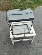 Aquarium tetra, Dieren en Toebehoren, Ophalen, Gebruikt