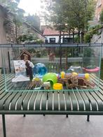 Hamster Terrarium + speelgoed, Dieren en Toebehoren, Hamster