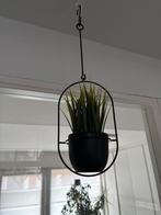 Planten hanger, Ophalen