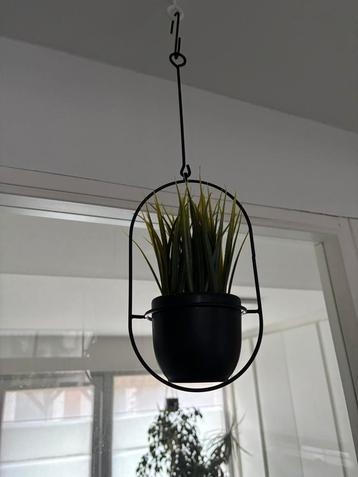 Planten hanger beschikbaar voor biedingen