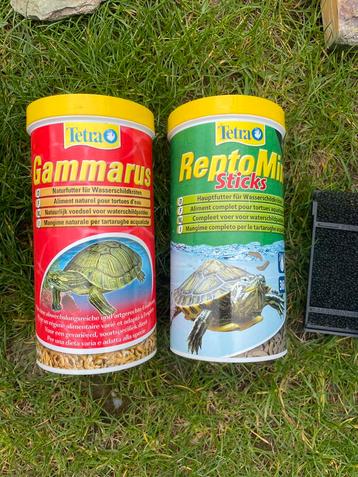 Schildpadden eten beschikbaar voor biedingen
