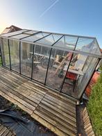 Serre in glas, Jardin & Terrasse, Serres, Verre, Serre, Enlèvement, Utilisé