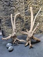 aquarium, RiverCatch, Plant(en), Steen of Hout, Nieuw, Ophalen of Verzenden