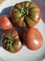5 graines de tomate brun-rouge Ozyris BIO, Graine, Printemps, Envoi